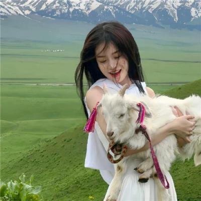 小太阳的梦想